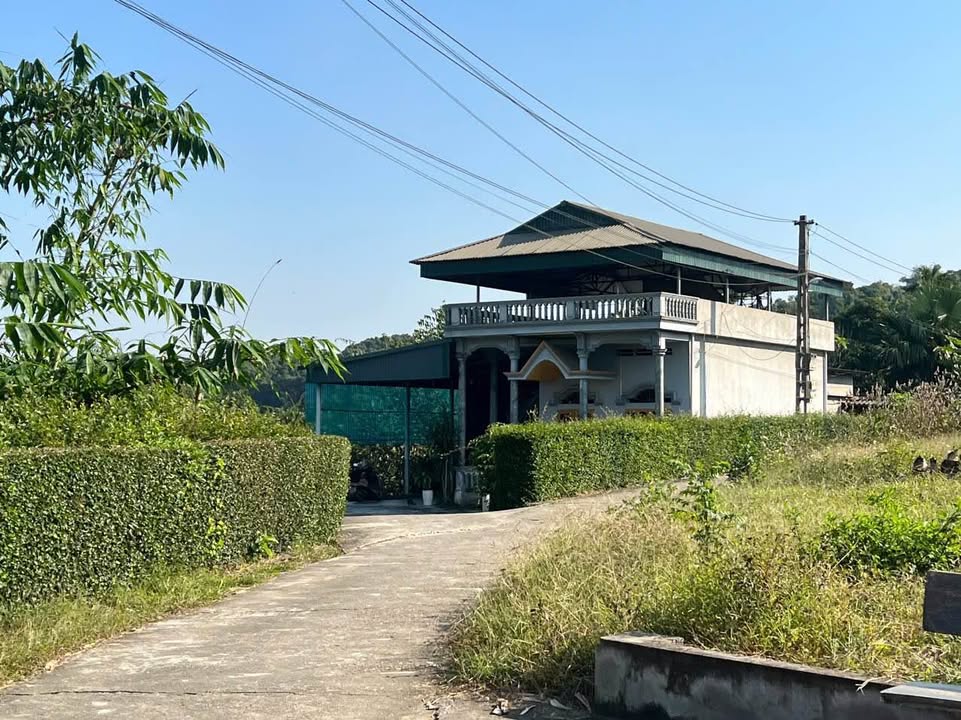 Đất nền khu 6 xã Chân Mộng 1315m² giá 1 tỷ - Không gian nghỉ dưỡng lý tưởng!