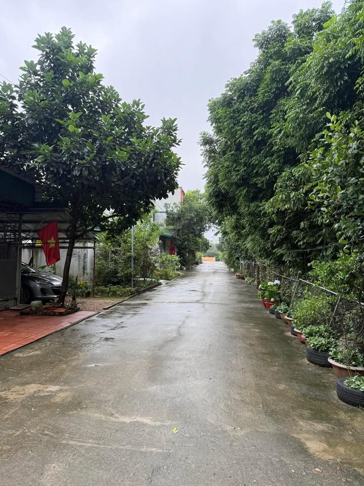 Đất nền Xóm Thọ, Trưng Vương, Việt Trì 90m² giá 3 tỷ - Vị trí đắc địa, cơ hội đầu tư tuyệt vời!