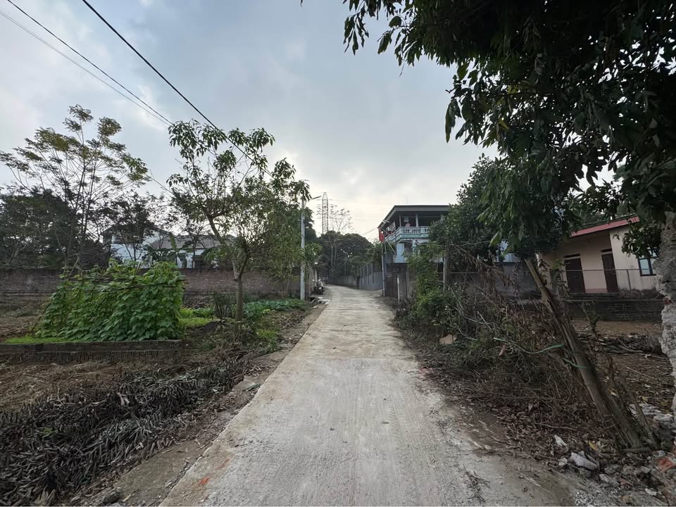 Đất nền Khu 12 Kim Đức 80m² giá 1 tỷ - Cơ hội đầu tư tuyệt vời!