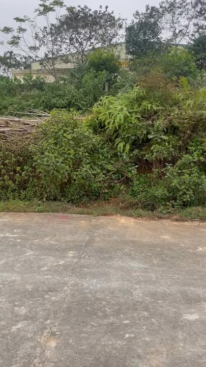 Đất thổ cư 100m² tại TL315, Xã Hà Lộc, giá chỉ 1 tỷ - Đầu tư sinh lời ngay!