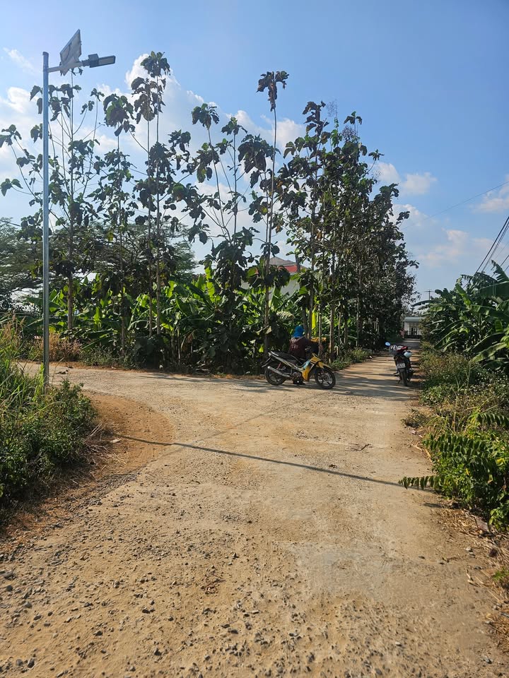 Đất thổ cư 240m² tại Đắk Sôr, Krông Nô giá chỉ 700 triệu - Cơ hội đầu tư tuyệt vời!