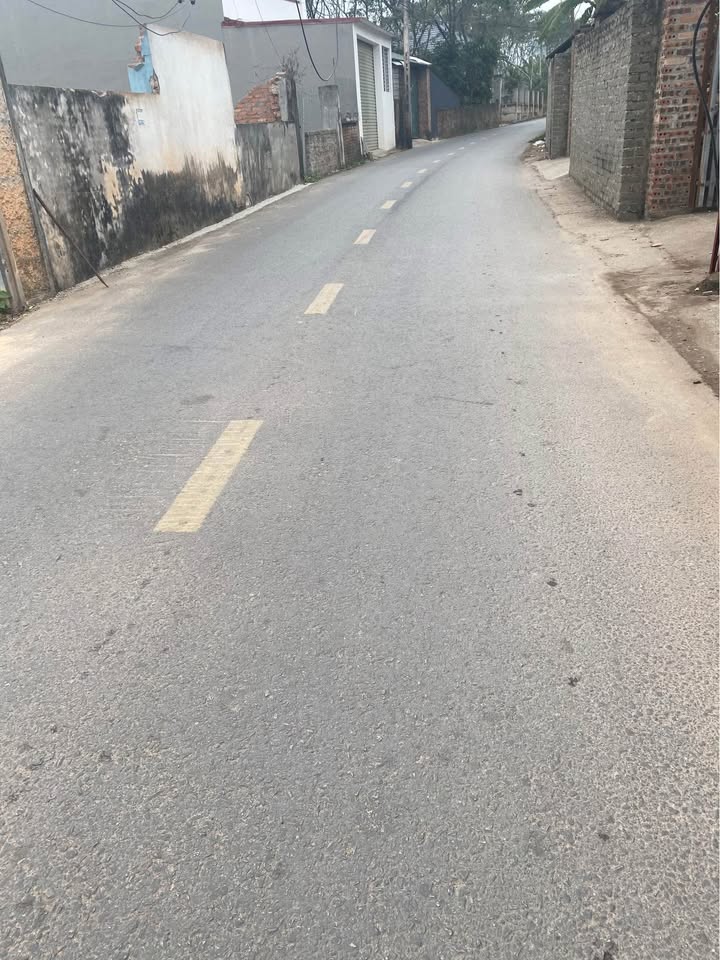 Đất nền chính chủ xã Hoàng Hoa, huyện Tam Dương, 110m² chỉ 400 triệu - Cơ hội vàng đầu tư!