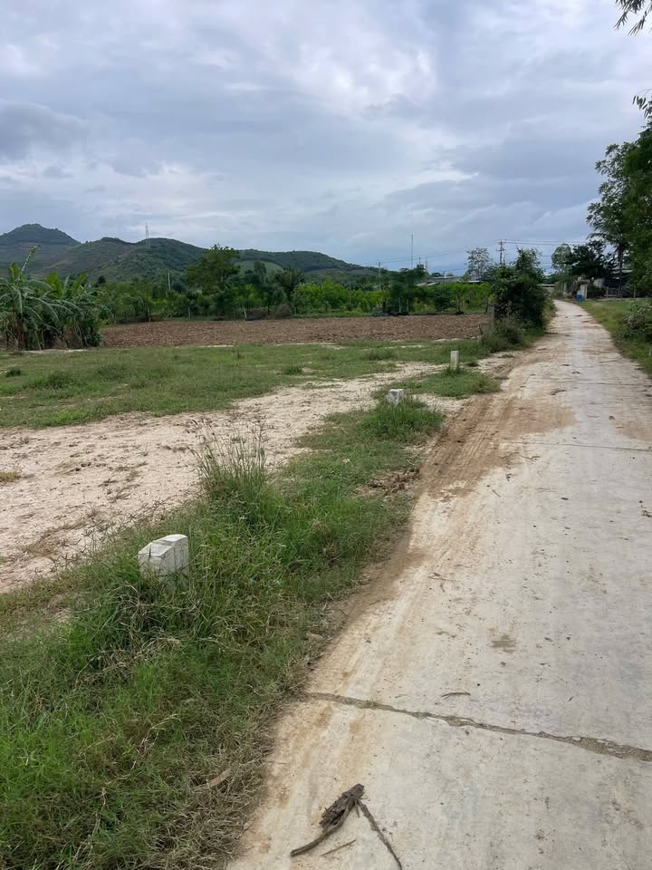 Đất nền Tân Mỹ, Ninh Hòa 93m² giá chỉ 4xx triệu - Cơ hội đầu tư tuyệt vời!