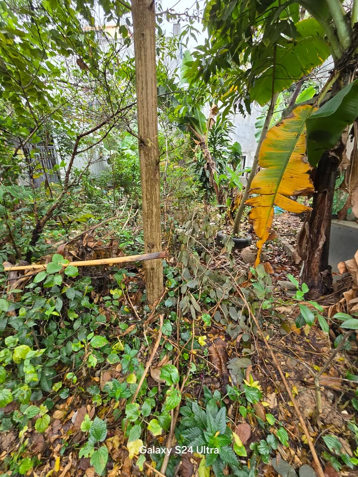 Nhà riêng Tổ 2 Chi Đông 52m² giá 2 tỷ - Vị trí đắc địa, đầy đủ tiện ích!