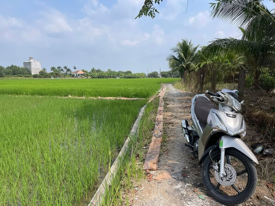 Đất lúa xã Long Định 2800m² giá chỉ 1.96 tỷ - Sổ đẹp vuông vứt!