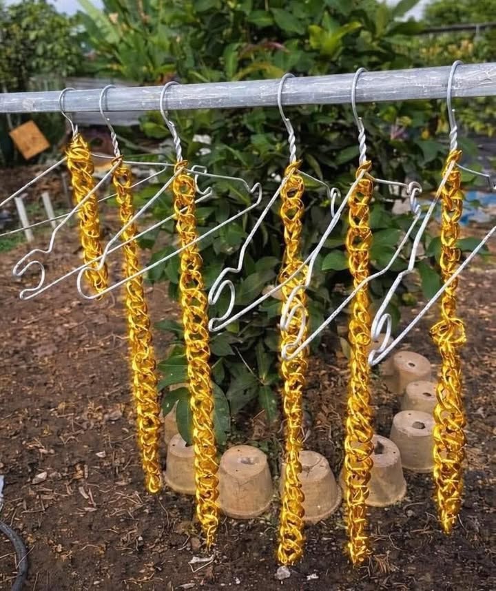 Đất 2 mặt tiền xã Hòa Phú, 1200m² giá 900 triệu - Đầu tư sinh lời ngay!