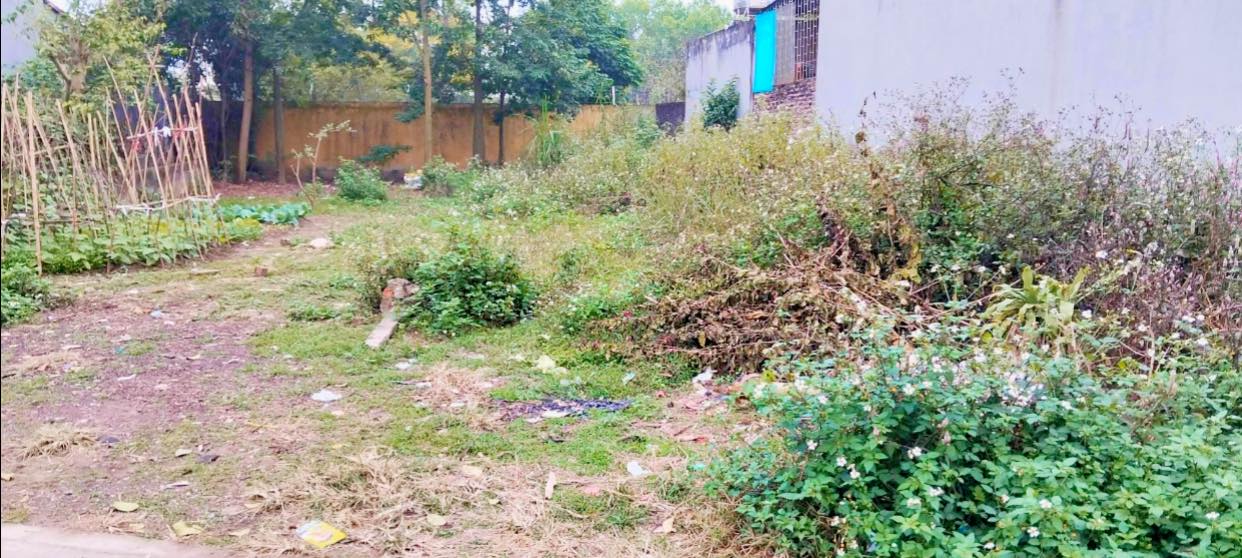 Đất mặt tiền trục chính Phường Minh Nông 104m² giá 2x tỷ - Cơ hội đầu tư lý tưởng!