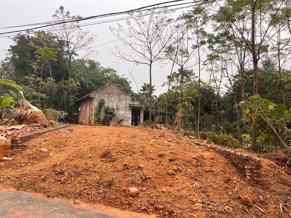 Đất nền Khu 7 Thanh Đình 101m² giá 800 triệu - Cơ hội đầu tư tuyệt vời!