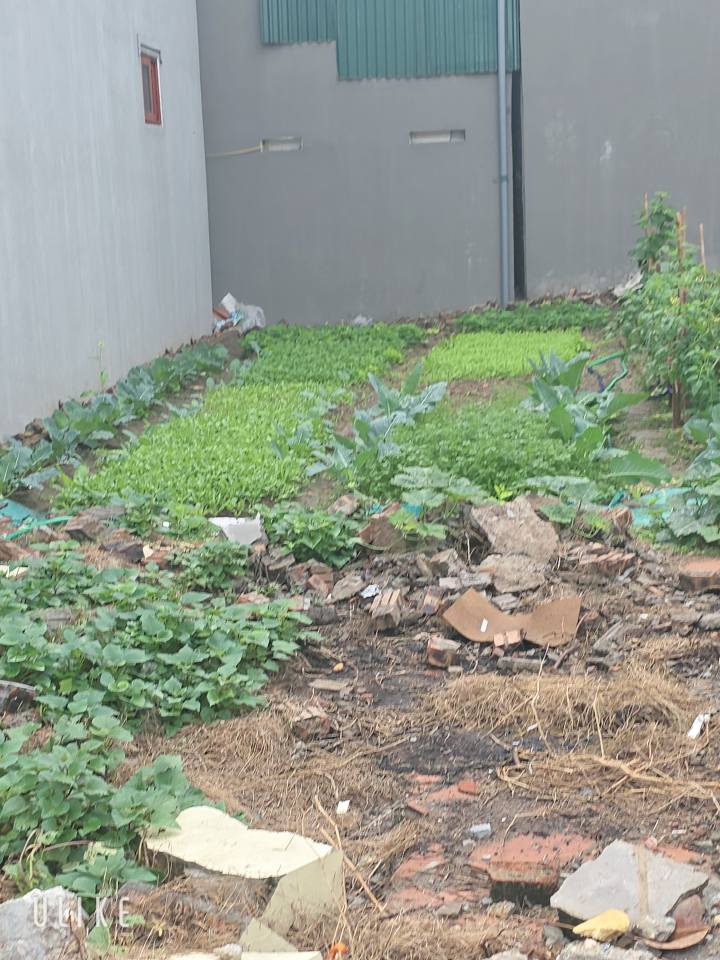 FrontHouse Đại Tự - Trí Quả, Bắc Ninh 72m² giá 3xx tỷ - Kinh doanh thuận lợi!