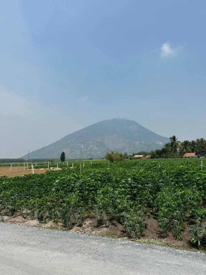 Đất thổ cư 200m² tại Dương Minh Châu, Tây Ninh giá 380 triệu - Đường nhựa rộng rãi!