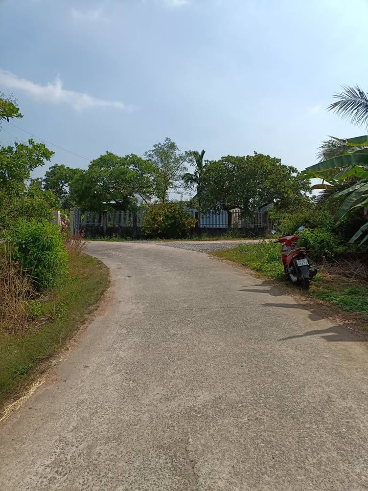 Đất nền xã Phú Hòa, Đồng Nai, 1002m² - Giá cực tốt chỉ 650 triệu!