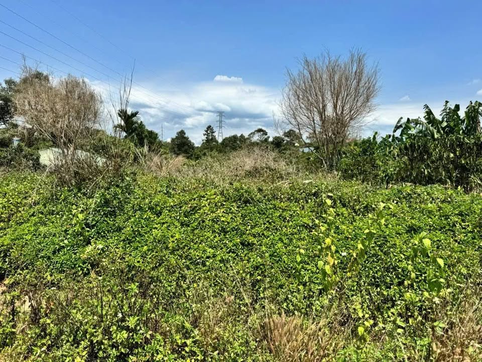 Đất thổ cư mặt tiền đường tránh Quốc Lộ 20, Bảo Lộc, 794m² - Giá tốt thương lượng