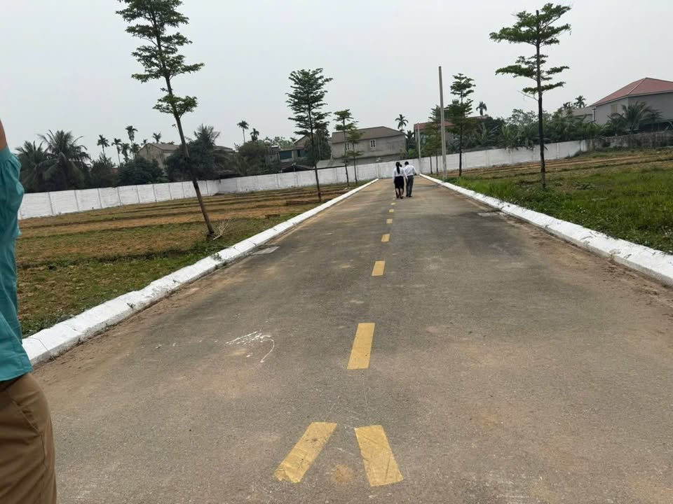 Đất nền Khu Ao Cá Bác Hồ, Lâm Thao 200m² giá 1.5 tỷ - Cơ hội đầu tư hấp dẫn!