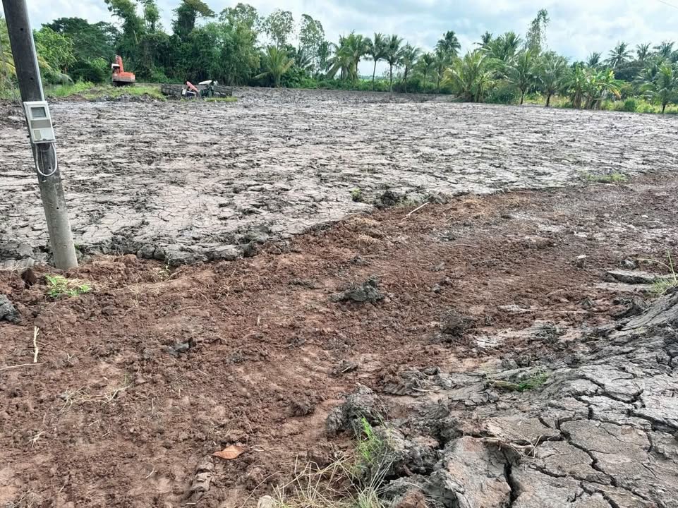 Đất nền 300m² tại Bưng Chông, Tài Văn, Sóc Trăng - Giá chỉ 165 triệu