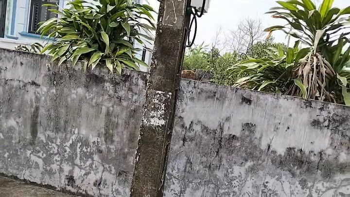 Đất nền mặt đường trục thôn Thái Thọ, Thái Thụy 100m² giá chỉ 7xx triệu - Sổ đỏ ngay!