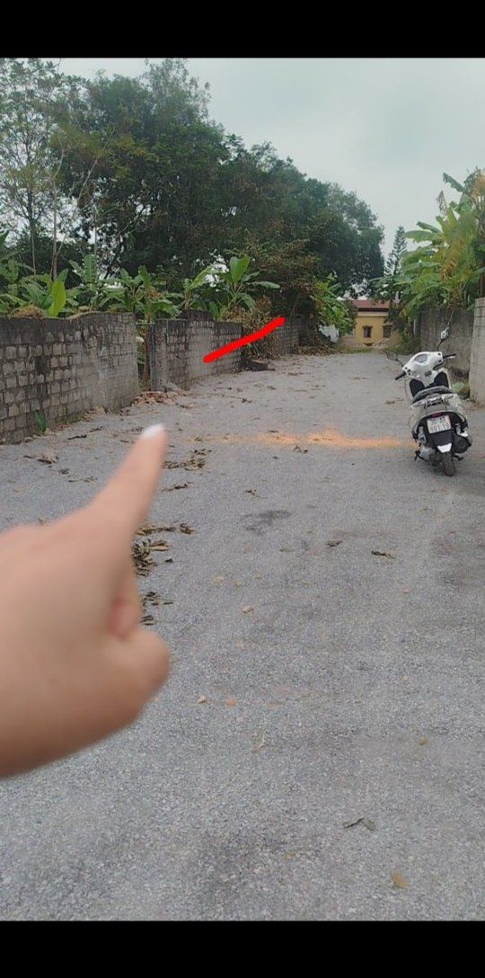 Đất nền tại thôn Đông Trung Yên Trung, 150m² - Cơ hội đầu tư sinh lời!