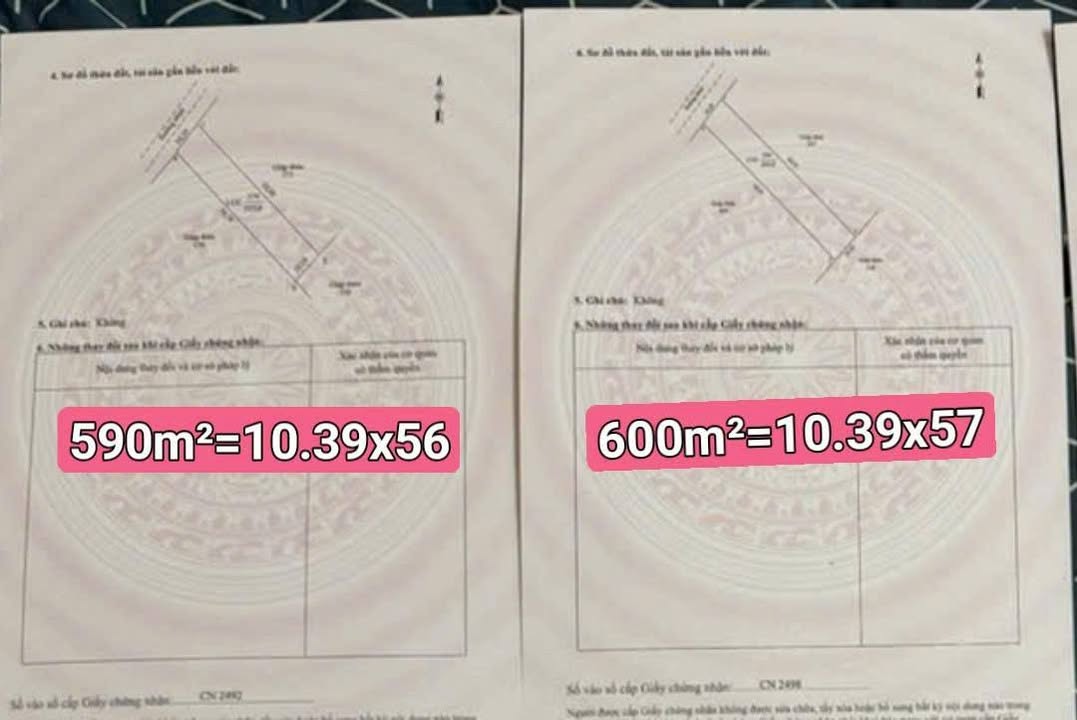 Đất lúa 590m² và 600m² mặt tiền đường Tây An Bờ Hồ - Giá tốt, vị trí đẹp!