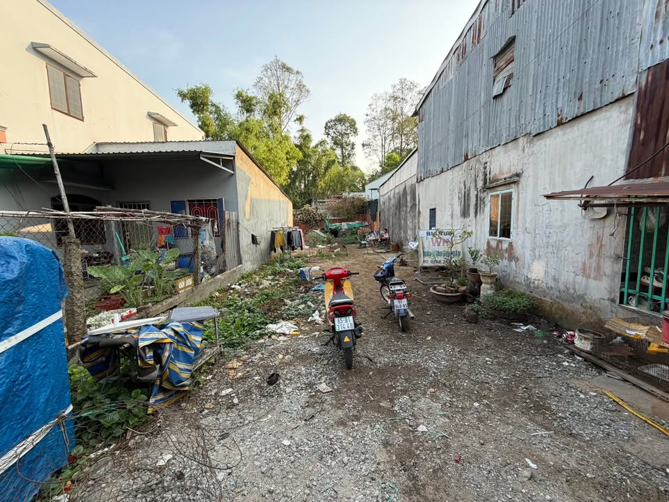 Đất nền tại Phường Mỹ Thới, Long Xuyên 186m² giá 1 tỷ - Cơ hội đầu tư tuyệt vời!