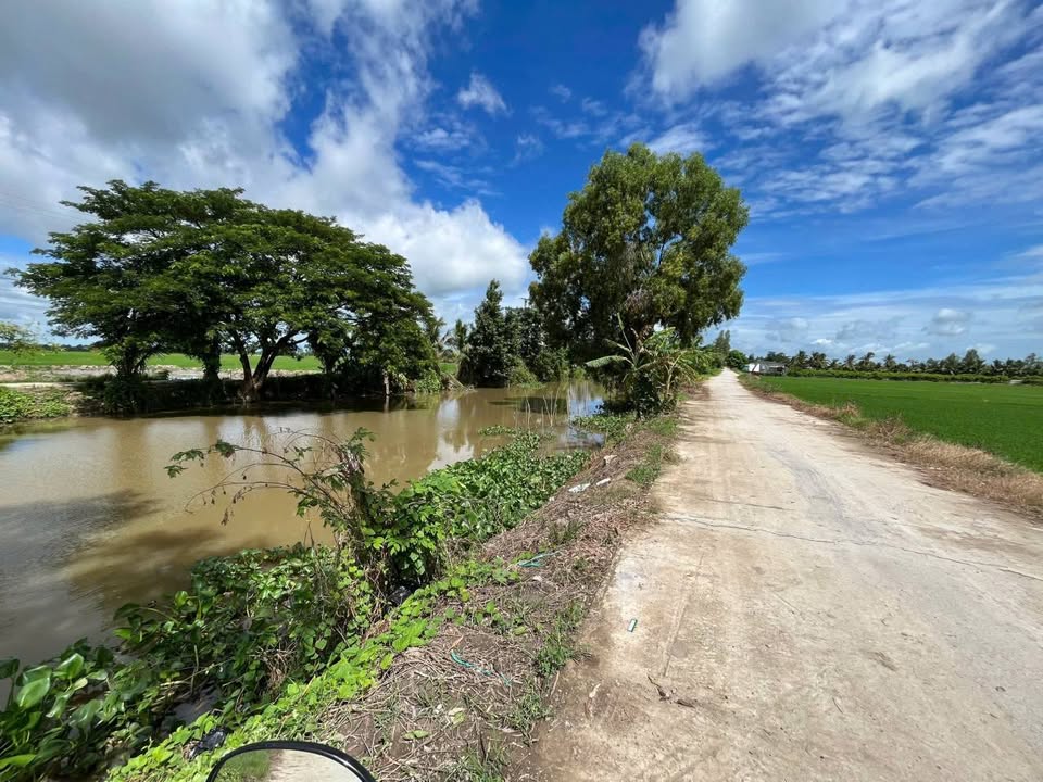 Đất nền 15 công tại kênh G, Định Thành, Thoại Sơn, An Giang - Giá cực tốt!