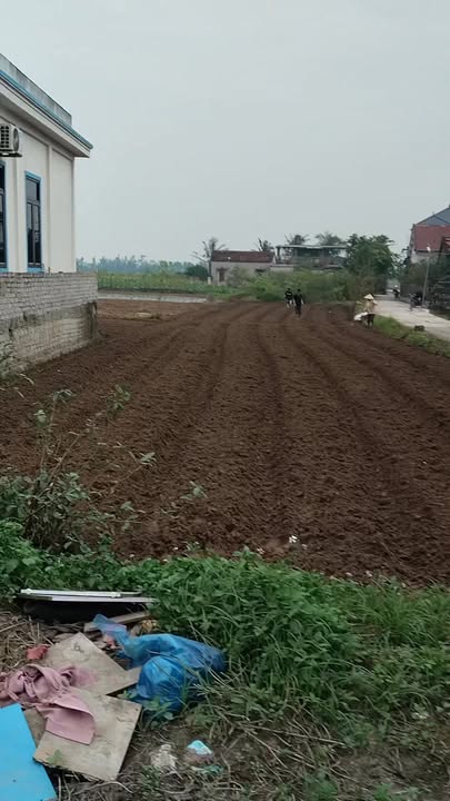 Đất nền Diễn Phong, Diễn Châu 175m² giá 1.7 tỷ - Lô góc 2 mặt tiền hiếm có!