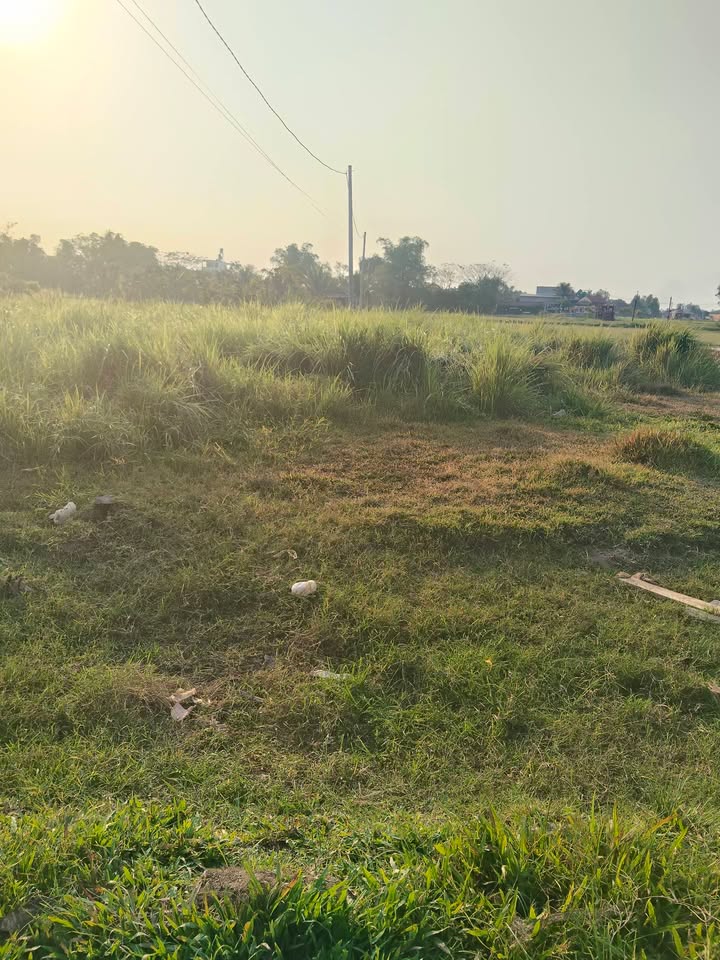 Đất thổ cư 185m² tại Ấp Giồng Lớn, Đức Hòa, Long An - Giá chỉ 1 tỷ!