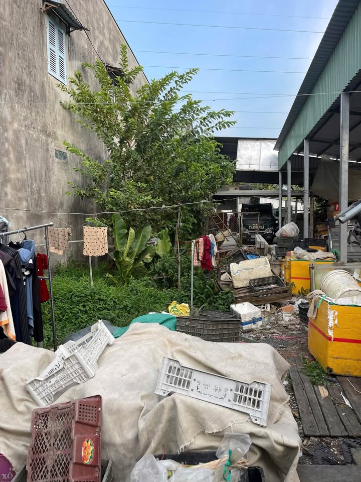 Đất thổ cư 2 mặt tiền tại chợ Trường Long, 56m² giá 1.25 tỷ - Cơ hội đầu tư tuyệt vời!