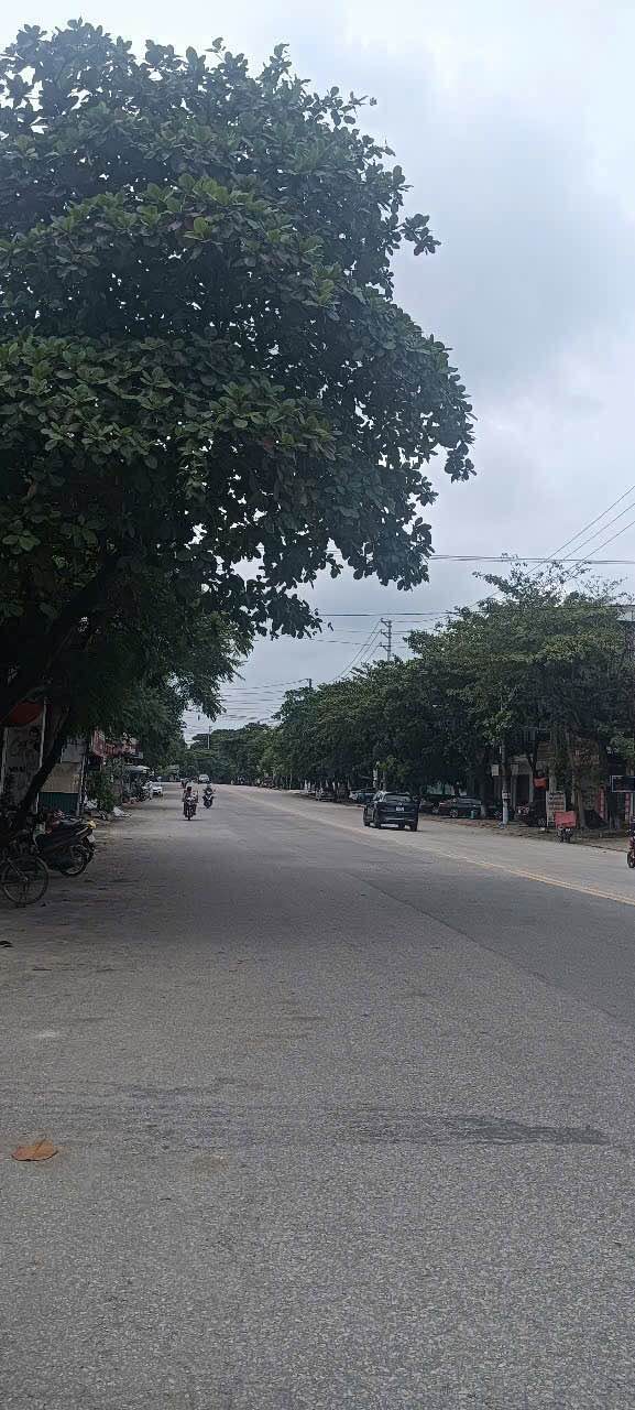 Đất nền Xã Việt Lâm 200m² giá 1 tỷ - Vị trí cao, không lo ngập lụt!