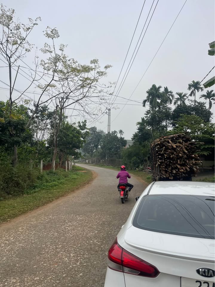 Đất thổ cư mặt đường Thanh Niên, huyện Yên Sơn, 250m² - Giá chỉ 1 tỷ