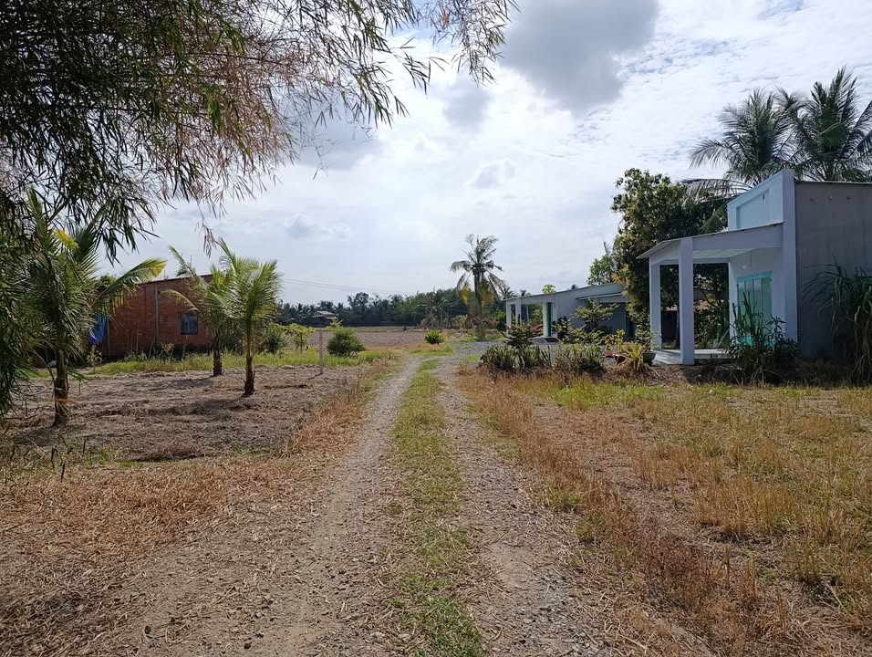 Đất nền 2000m² tại Ấp Sa Nghe, Tây Ninh - Cơ hội đầu tư tuyệt vời!