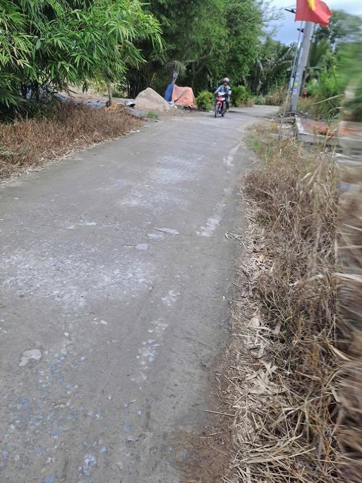 Đất nền chính chủ tại Tân Bình, Ô Môn, 550m² giá 1.55 tỷ - Cơ hội đầu tư hấp dẫn!