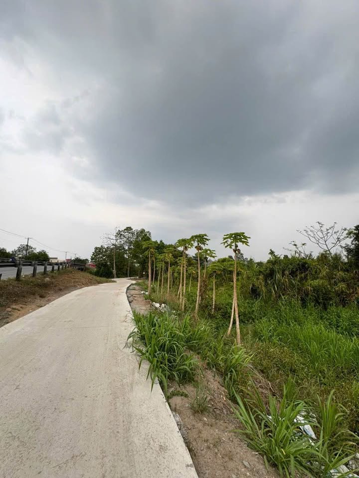 Đất nền góc 2 mặt tiền Quốc lộ 61C, 2900m² giá 4 tỷ - Cơ hội đầu tư tuyệt vời!