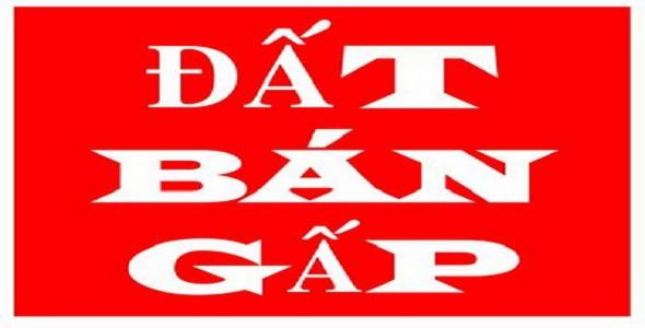 Đất nền 100m² xã Trảng Bom giá chỉ 900 triệu - Cơ hội đầu tư tuyệt vời!