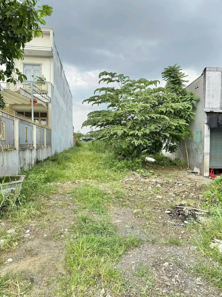 Đất mặt tiền nhựa Ấp 1 Trảng Bom 680m² giá 5.5 tỷ - Kinh doanh sầm uất!