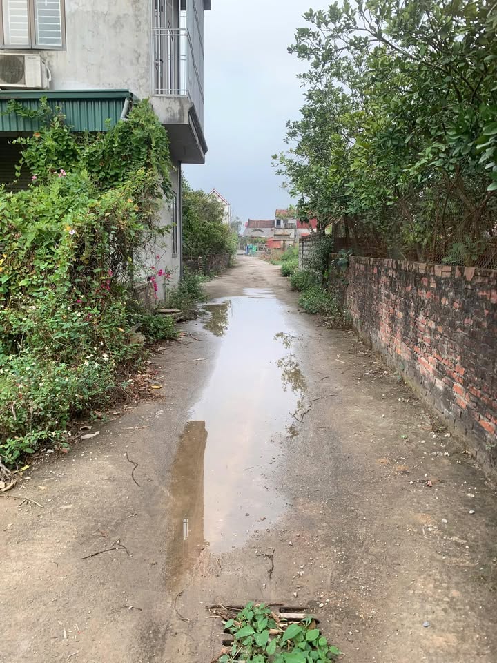 Đất thổ cư Phượng Dực, Huyện Phú Xuyên, 83m² giá 3 tỷ - Mặt tiền rộng, vị trí đắc địa!