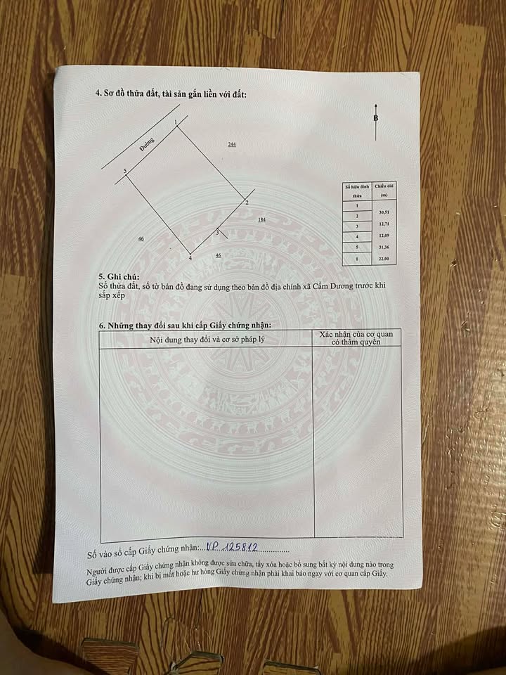 Đất nền Yên Hòa Cẩm Xuyên 725m² giá 400 triệu - Đầu tư sinh lời ngay!