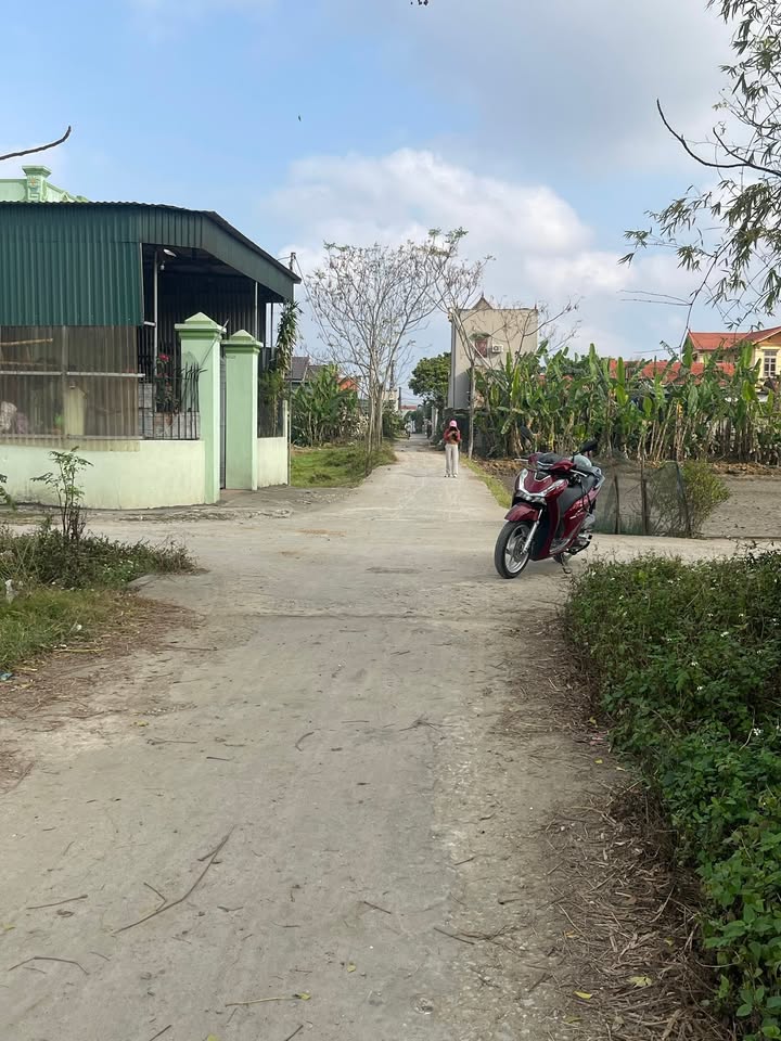 Đất nền liền kề chợ Đồng Đội Nga Lĩnh, 216m² giá chỉ 700 triệu - Cơ hội đầu tư hấp dẫn!