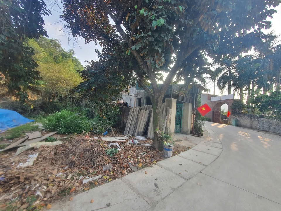 Bán lô đất 112m² mặt tiền 8m tại Phường Đông Lĩnh - Lưng tựa núi, không gian xanh lý tưởng!