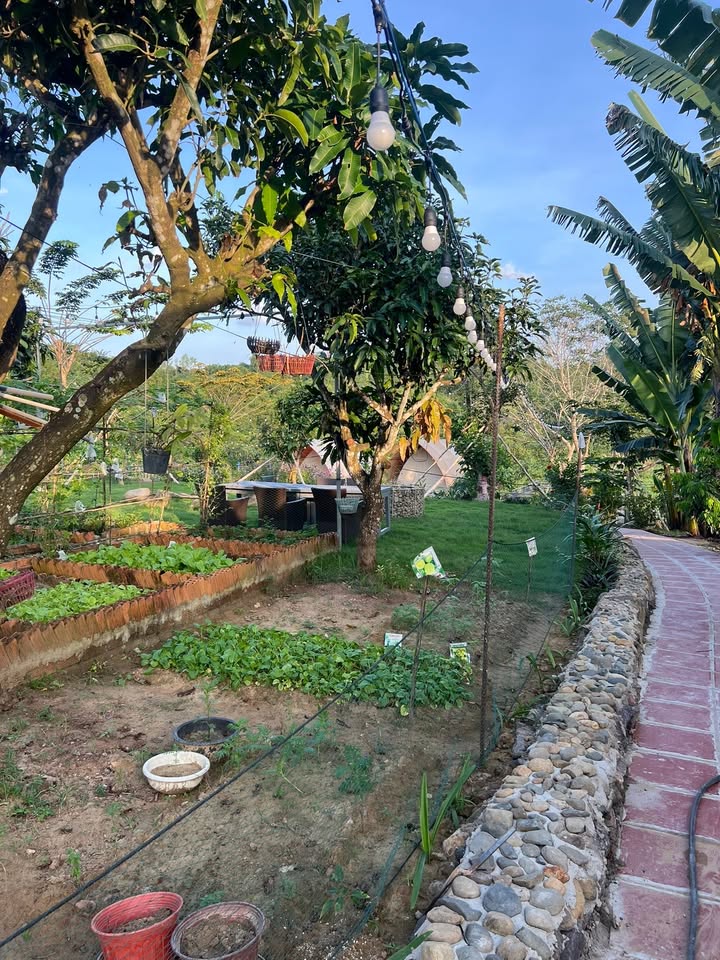 Đất nền 1250m² tại Xã Diên Hòa, Huyện Diên Khánh giá từ 1.4 tỷ - Đầu tư lý tưởng!