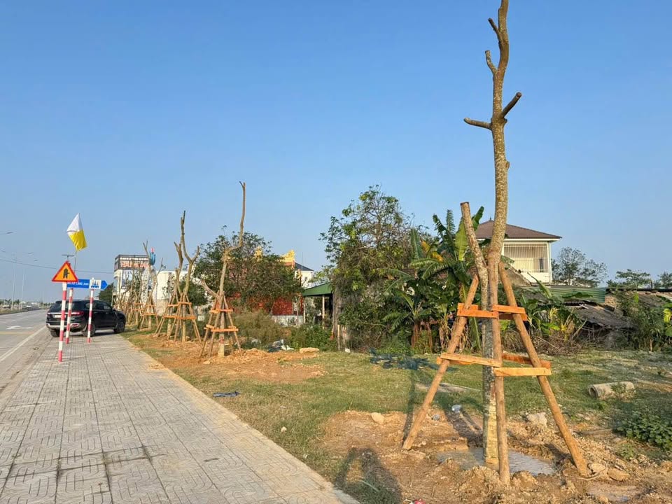 Đất chính chủ 200m² mặt đường 72m tại Nghi Phong - Giá chỉ 13 tỷ!