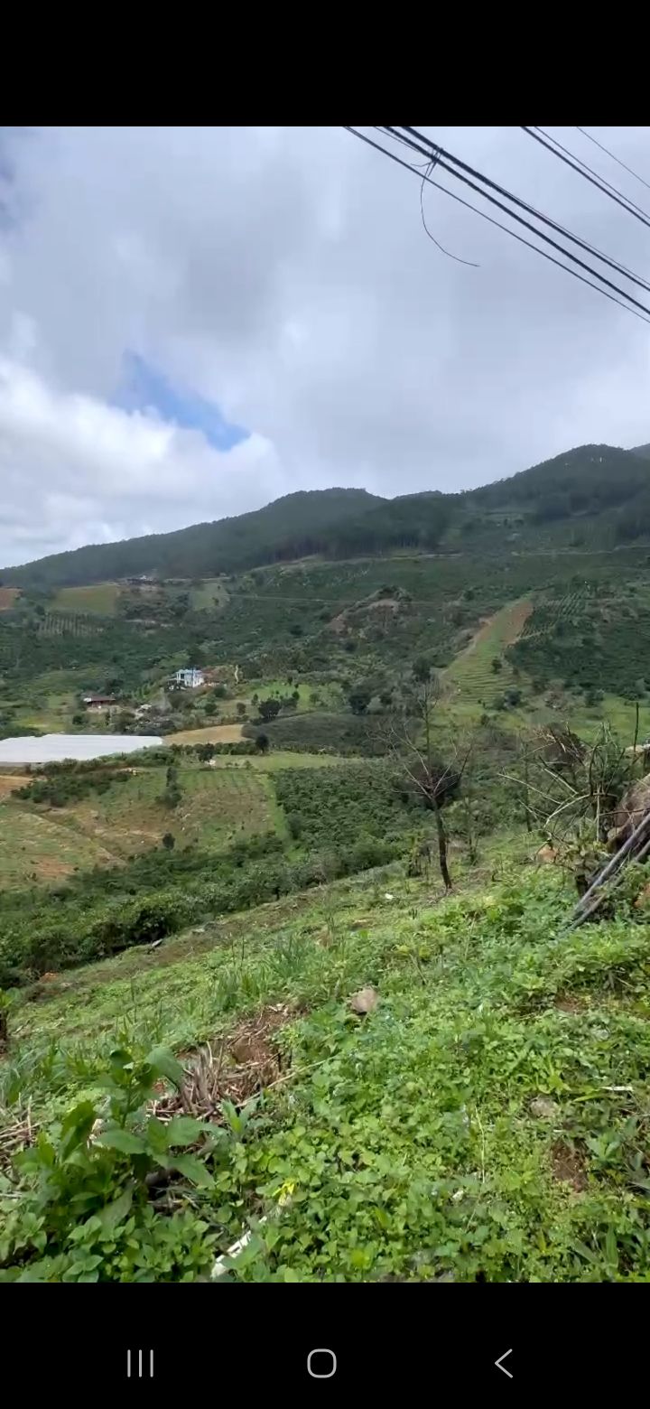 Đất nền xã Phú Sơn Lâm Hà 720m² giá 500 triệu - Cơ hội đầu tư tuyệt vời!