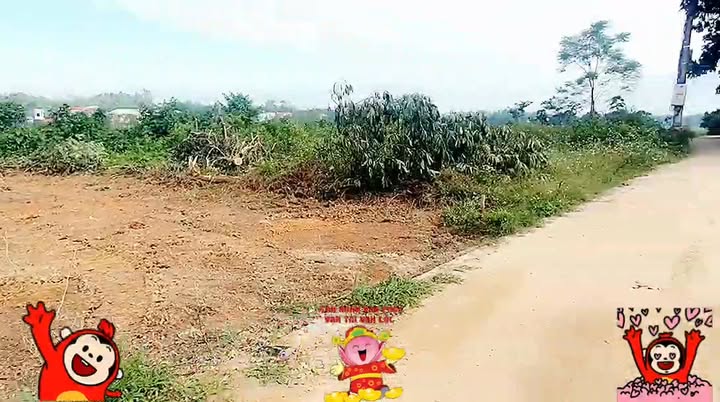 Đất nền Khu CN Tam Dương 182m² giá 2.367 tỷ - Hướng tốt, mặt tiền 10m!