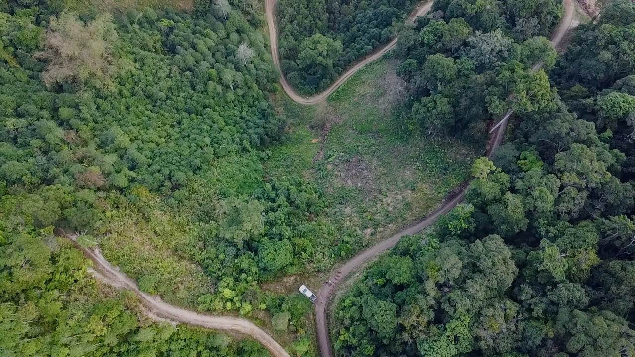 Đất nông nghiệp Đổng Xá Na Rì 20,000m² giá 200 triệu - Sổ đỏ chính chủ sẵn sàng sang tên!