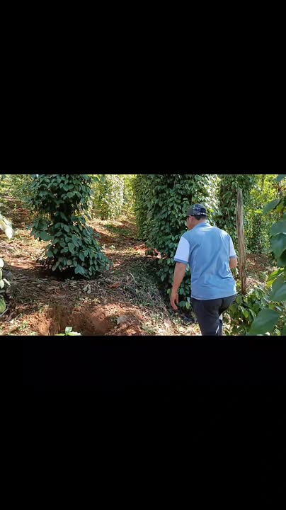 Đất thổ cư Thôn 10, Xã Nâm N'Jang, 1,2 ha - Giá thỏa thuận hấp dẫn!