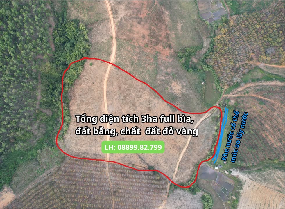 Đất Farm 3ha tại Đắk Tờ Re, Kon Rẫy - Vị trí đẹp, pháp lý rõ ràng