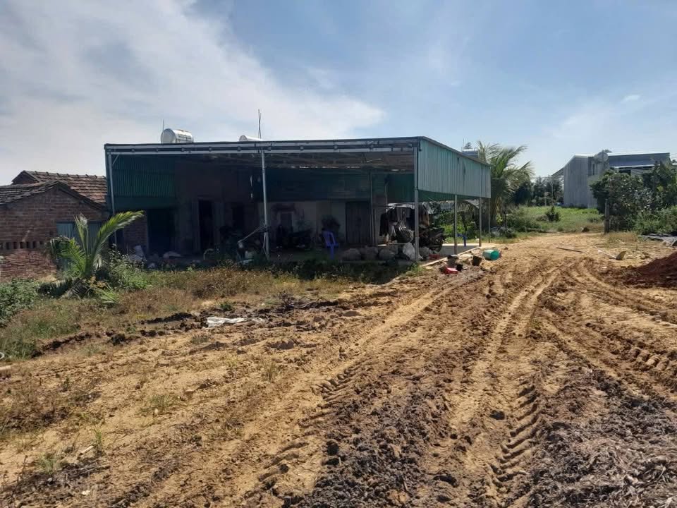 Farm 5 sào tại Thôn Hữu Nghị, Ea Đar - Giá 1,3 tỷ, sổ đỏ đầy đủ!