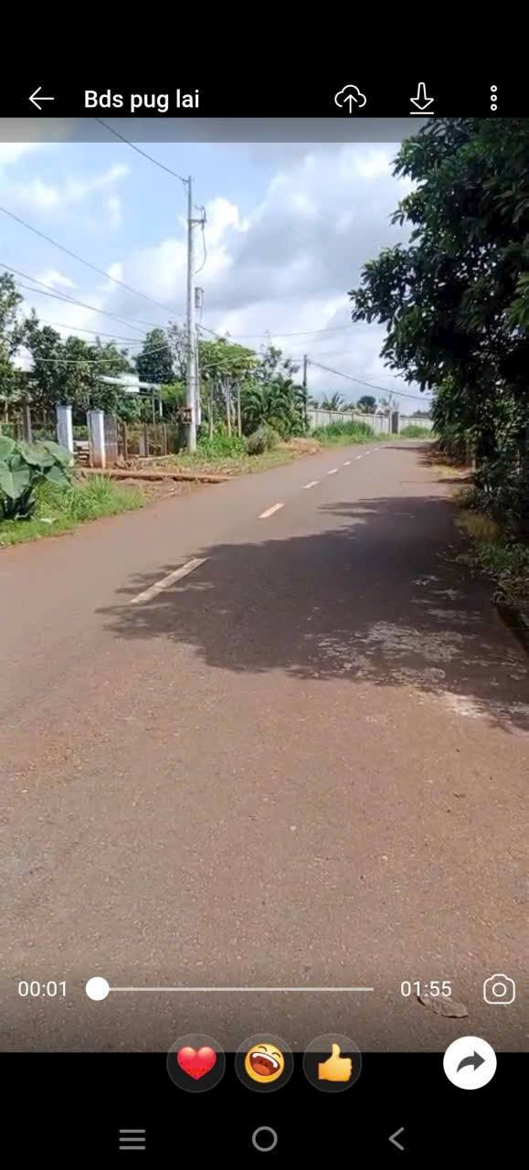 Đất mặt tiền đường nhựa TL 52, Phú Mỹ 11,000m² - Giá chỉ 3.5 tỷ!