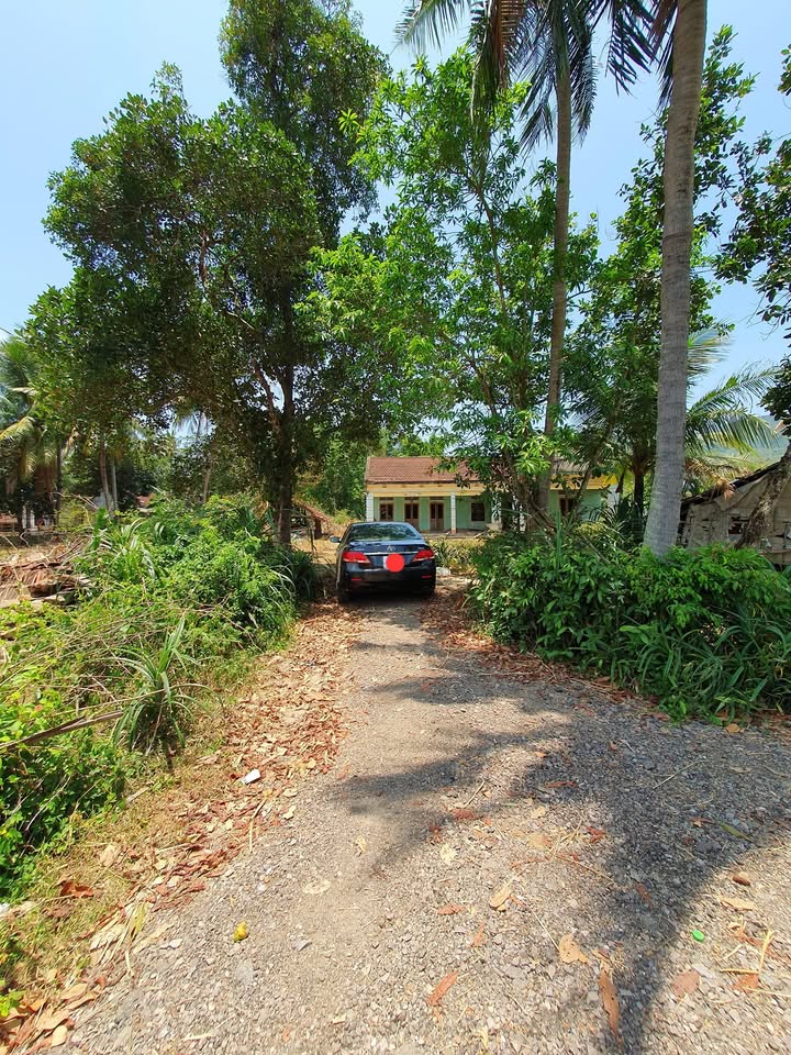 Đất thổ cư 40m² tại thôn Gia Hội, xã Mỹ Phong, giá 190 triệu - Sổ đỏ chính chủ!