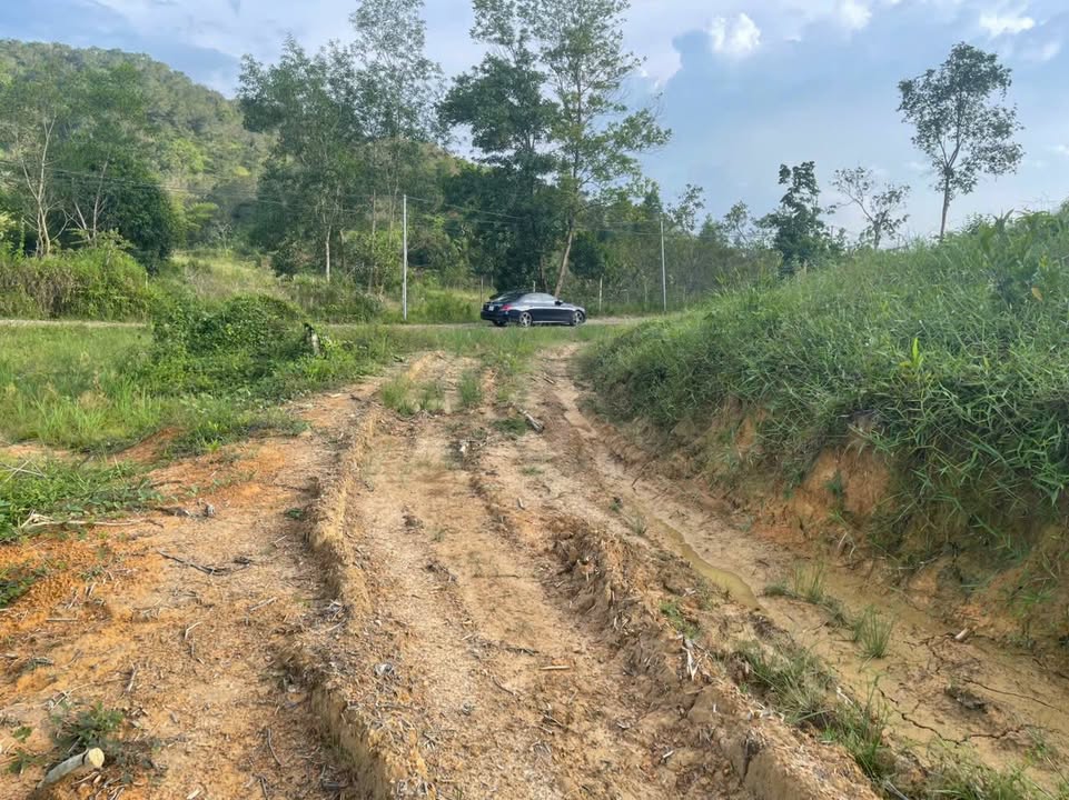 Đất Farm 5Ha Đường Tỉnh 721, Xã Ma Đa Guôi, 15 tỷ - Giá tốt nhất khu vực!