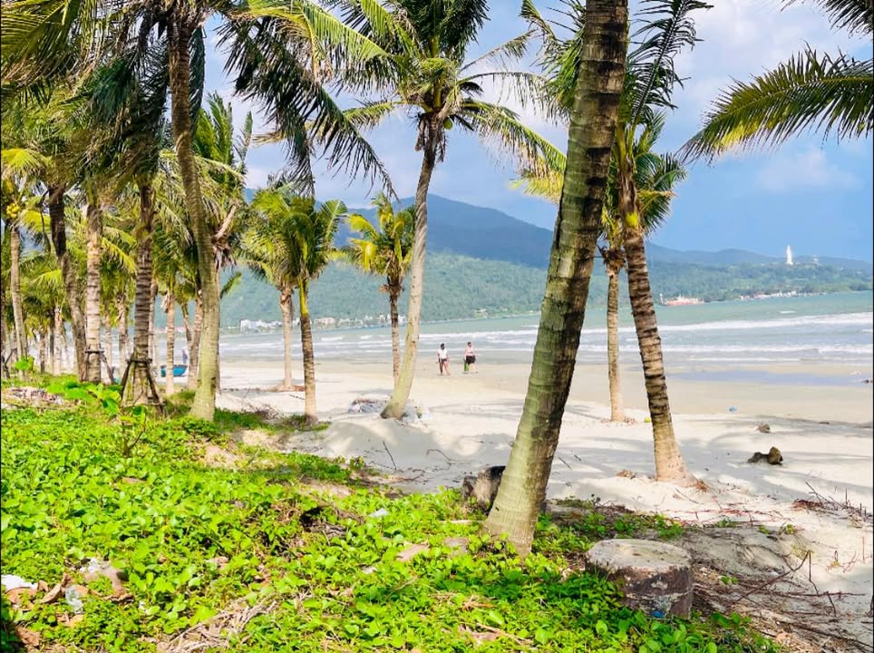 Đất biển Sơn Trà 60m² giá 3 tỷ - Cơ hội đầu tư hiếm có!