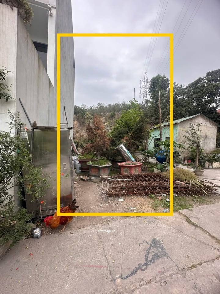 Đất thổ cư phường Cao Xanh 80,5m² giá 2 tỷ - Đường ô tô tránh nhau, gần khu dân cư!